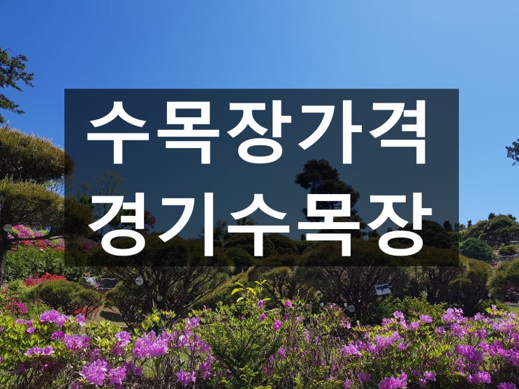  수목장가격 자세히 알려드립니다~