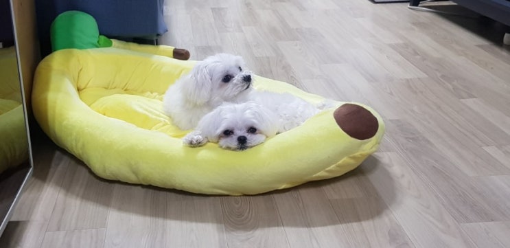  귀여워..귀여워~~