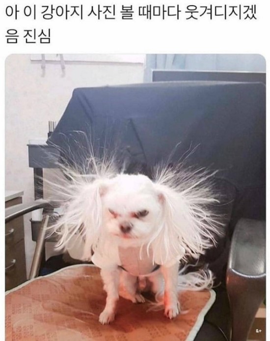  트위터글/웃긴글/여러가지글