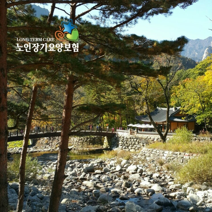  노인장기요양보험 신청대상, 신청자격, 장기요양인정 및 요양서비스 이용절차 [입주간병 안내]