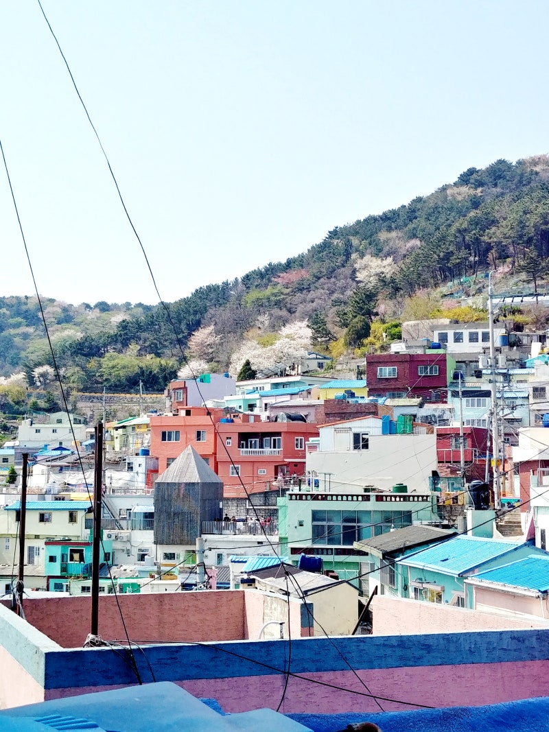 부산여행 DAY 2 :: 부산 명소 한국의 마추픽추 감천 컬쳐 빌리지 감천문화마을 구경하기 : 네이버 블로그