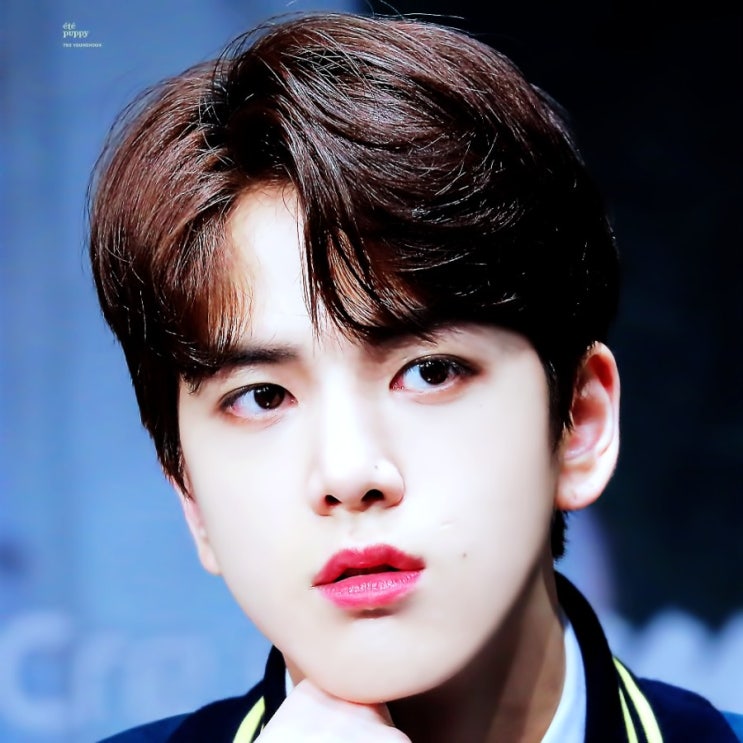  예지몽 더보이즈 영훈 현재 주연 활 선우 토파즈 (44)