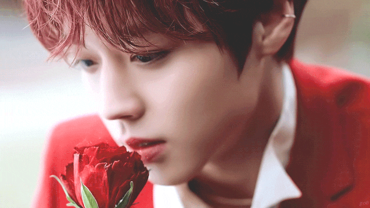  [박지훈 소식]박지훈 1st MINI ALBUM [O'CLOCK]의 기록들