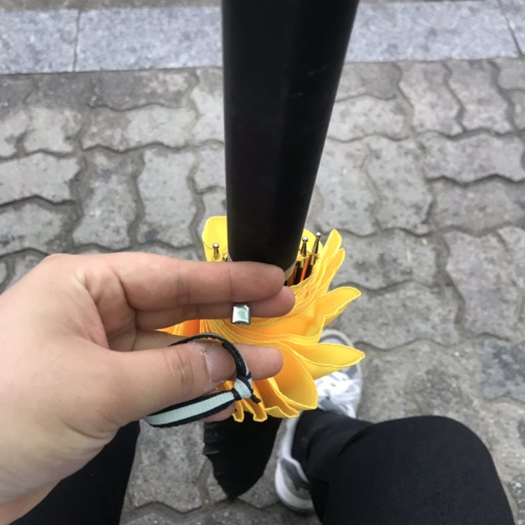 5월도 안녕이다