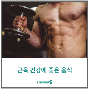  근육 건강을 늘리려면 무엇을 먹어야 하나요?