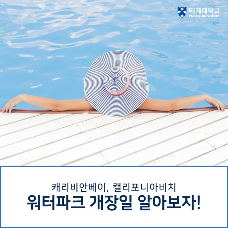  캐리비안베이, 캘리포니아비치 개장일 & 놀이기구 소개