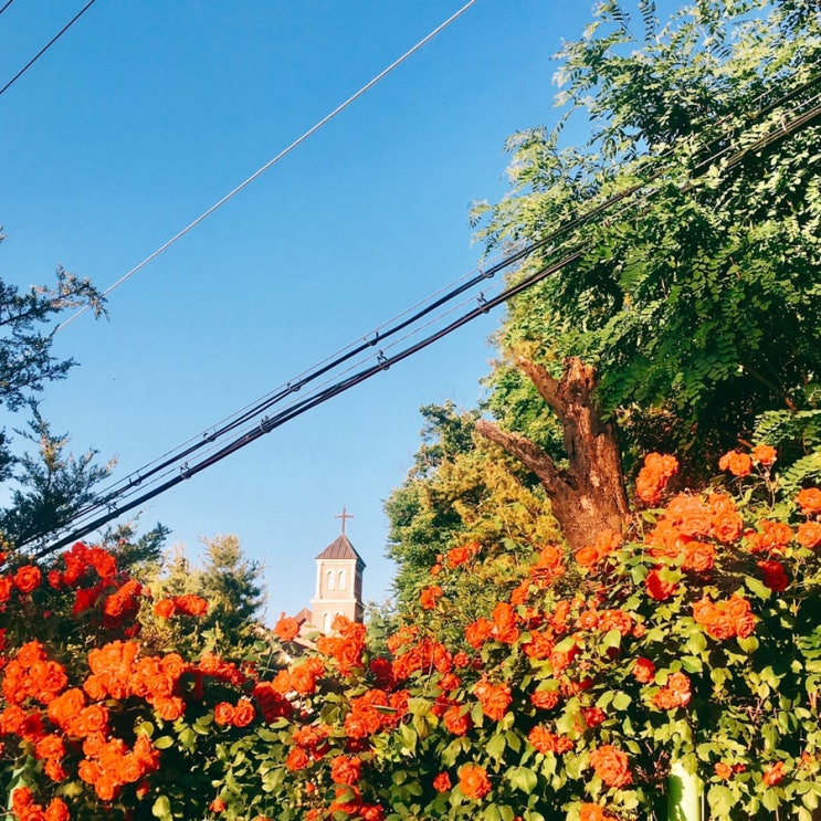  2019.06