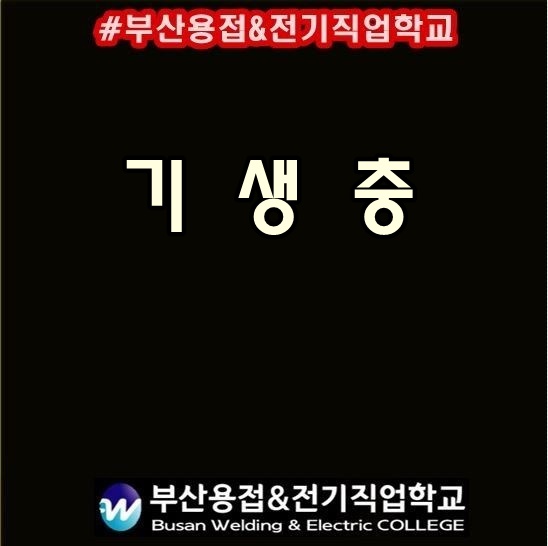 기생충 해석? 봉준호영화 기생충 개봉 첫날 57만명