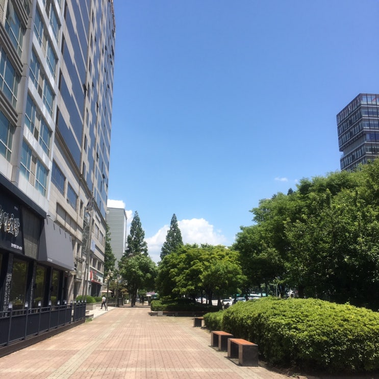  5.20~6.2 일기
