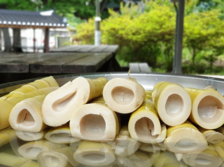  맛있는 죽순요리로 사랑하는 가족을 위해 밥상을 차릴 수 있는 담양주부여서 행복합니다.