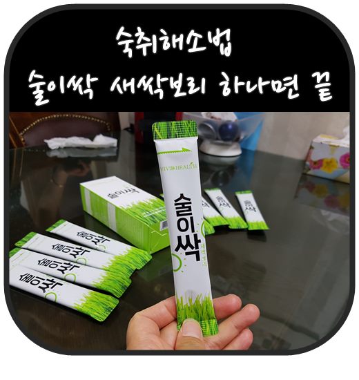  숙취해소법 술이싹 새싹보리 하나면 끝