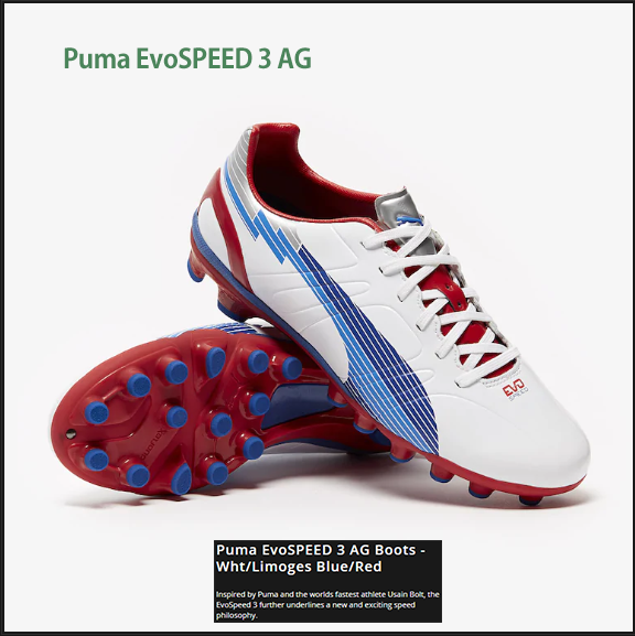  푸마 축구화 Puma EvoSPEED 3 AG