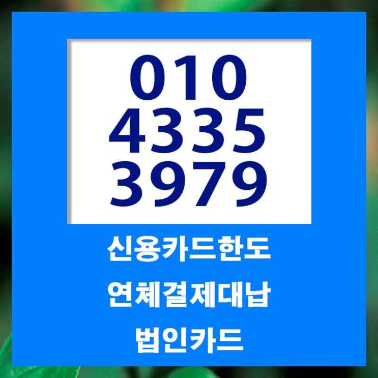  마이너스통장 넘버원중에 넘버 원