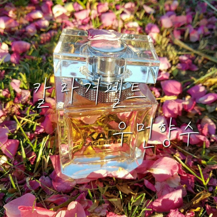  여친선물 추천 정품병행수입 봉미선마켓 칼 라거펠트 우먼 향수 85ml 후기