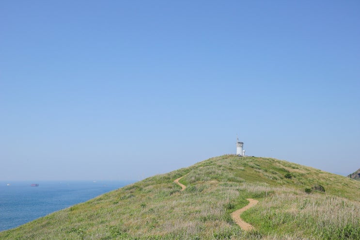  헬로 제주 오늘은 가파도 대신 차귀도
