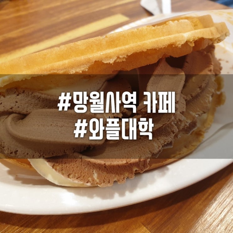  [망월사역카페]#와플대학메뉴 #와플대학가격 #호원동노랑색 와플집 #와플대학신한대캠퍼스점