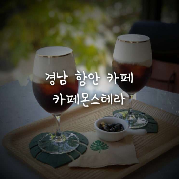  [국내/함안카페] 인테리어가 예쁜카페 카페몬스테라