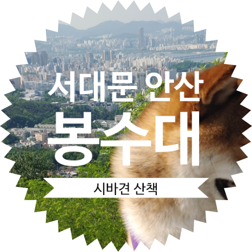무악산 봉수대 애완견 산책 그리고 서울 미세먼지
