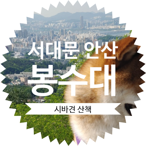  무악산 봉수대 애완견 산책 그리고 서울 미세먼지