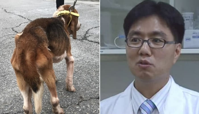  “서울대 이병천 교수 연구팀이 실험하다가 죽은 강아지 또 있다”