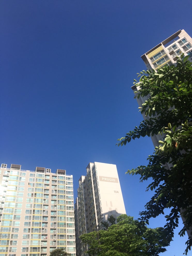  2019.05.20-30
