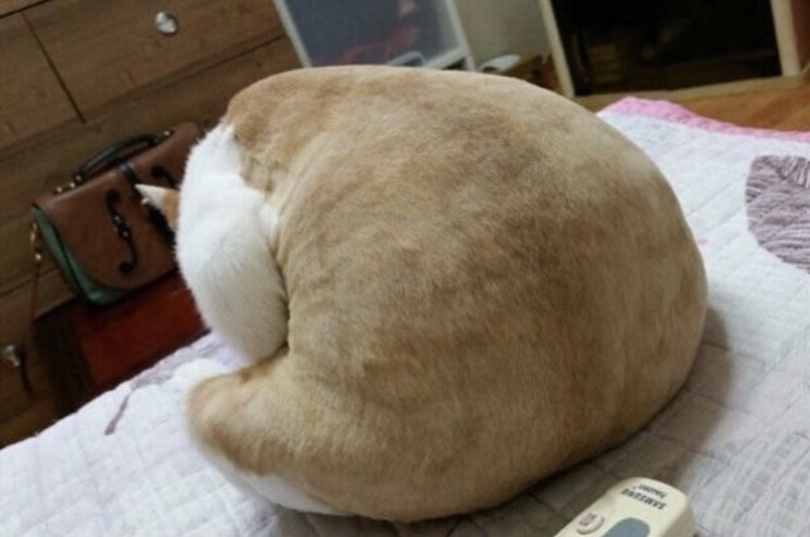  6월 1일 토요일