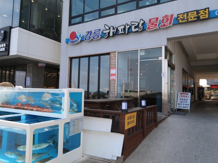  [강원도 여행] 강문해변 맛집 강릉 해파랑 물회!! 홍게도 맛있당!