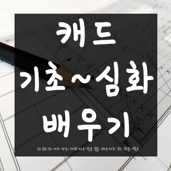  기초부터 심화까지 캐드배우기!