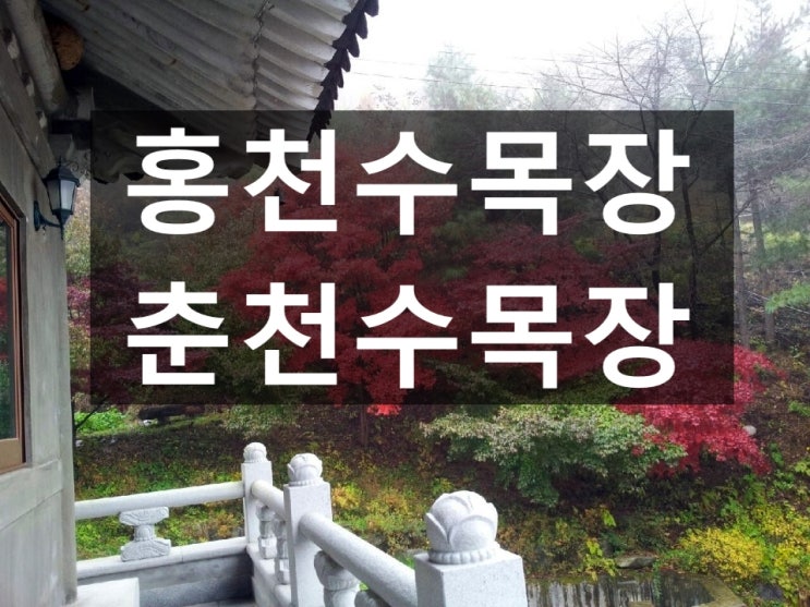  강원도 홍천수목장 가격과 위치는 어떤가요?