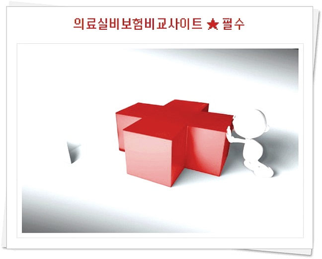  실손보험가입확인 꼭 확인하고 선택해요. 