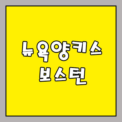  6월 1일 뉴욕양키스 보스턴 MLB 딱 짚고 넘어가자