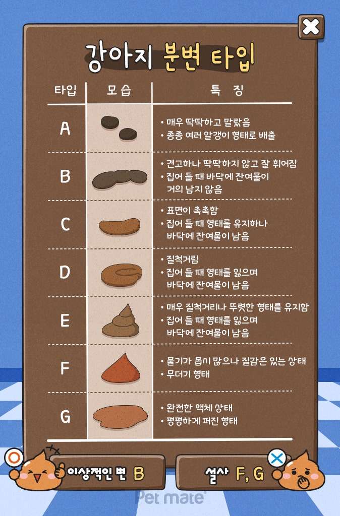 강아지 똥이 하얗다면 무슨 뜻인가요