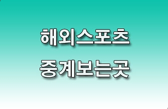  해외축구중계 리버풀 vs 토트넘 챔피언스리그 결승분석