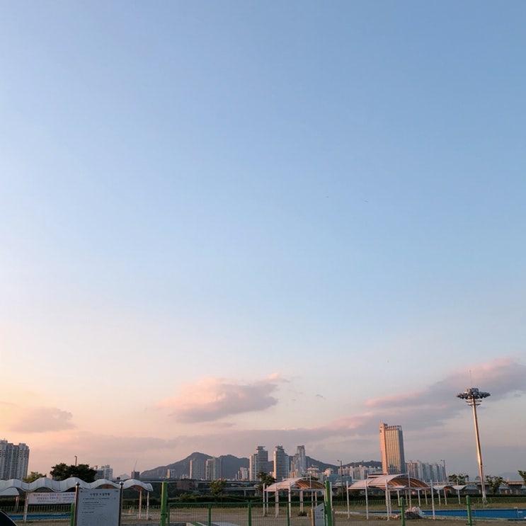  일상 | 5월 일기(한강, 스타벅스, 막학기생)