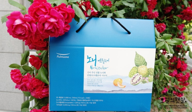  노니주스 추천 선물하기 좋은 풀무원 노니엔클리어