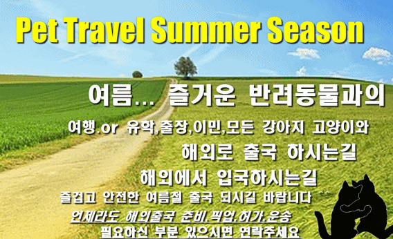  필리핀 강아지검역 반려견 출국 이민 유학 출장 동남아 운송 허가 [심쿵記]