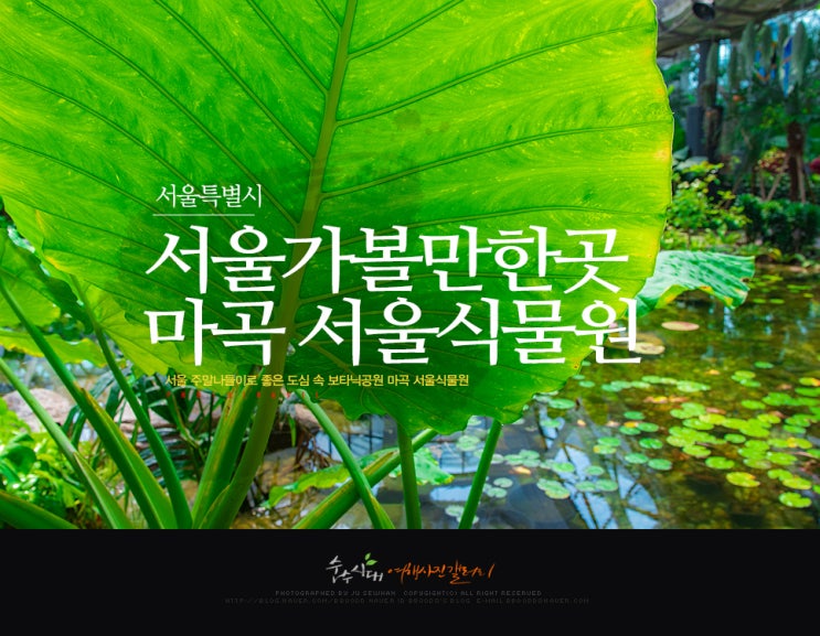  서울 가볼만한곳 마곡 서울식물원