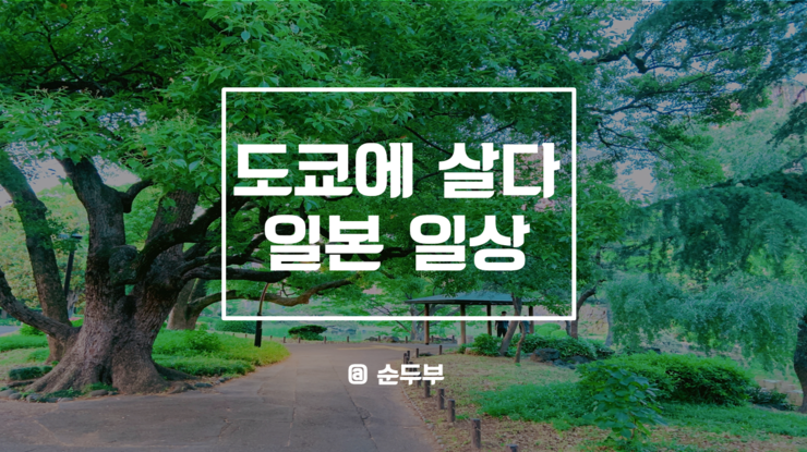  일본/도쿄 일상) 5월: 도쿄 산책 히비야 공원, 마루노우치, 도쿄 지진