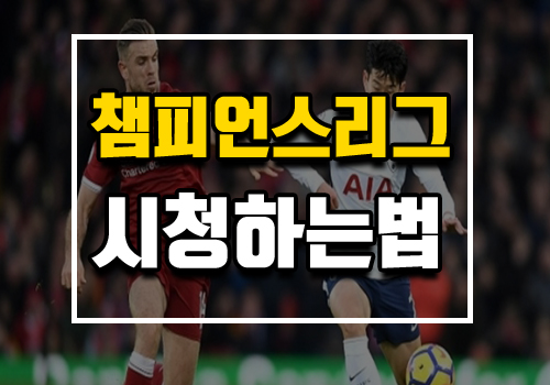  [해외축구중계]토트넘 리버풀 과연 누가 이길것인가 결승전 시청하기!