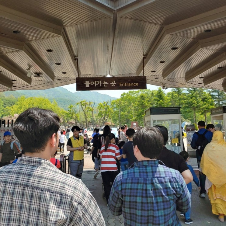 [기록] 갑오징어 회무침/서울대공원/문산 산오징어회/2019 umf티켓/kt 4g속도/운정 금촌아구찜/금릉 플스방/체력시험/하지정맥/파주 민어회