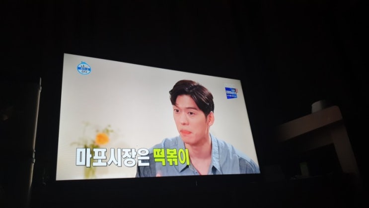 나혼자산다 296회 오스틴강