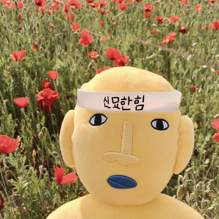  [예원 : YEWON] 20190511 초등학생 이후로 처음 다녀온 경주