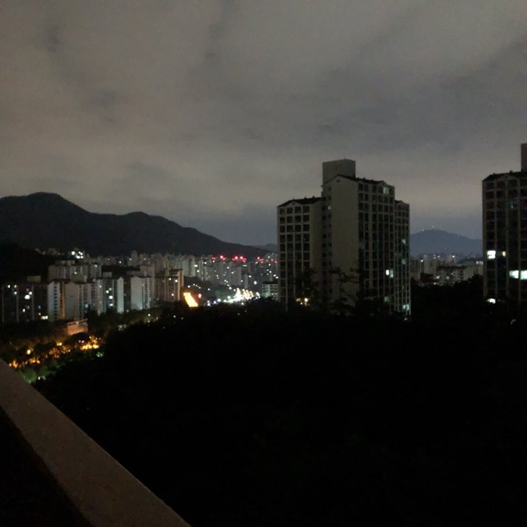  란희의 하루