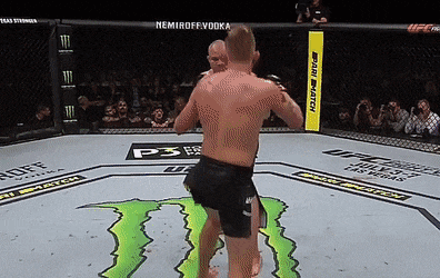 UFC 스웨덴 : 구스타프손 vs 스미스 보너스 내역 및 피니시 장면 모음(GIF)