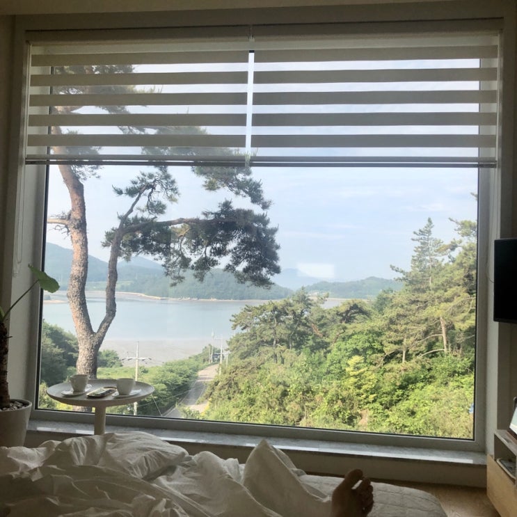  청정지역 고흥 다녀왔어요 ! 한그루하우스 최고!!