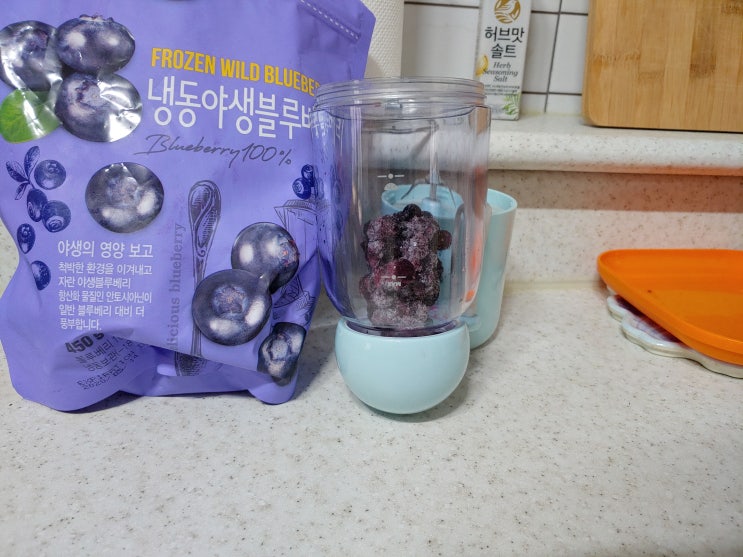  무선믹서기 프레쉬메일 사용기