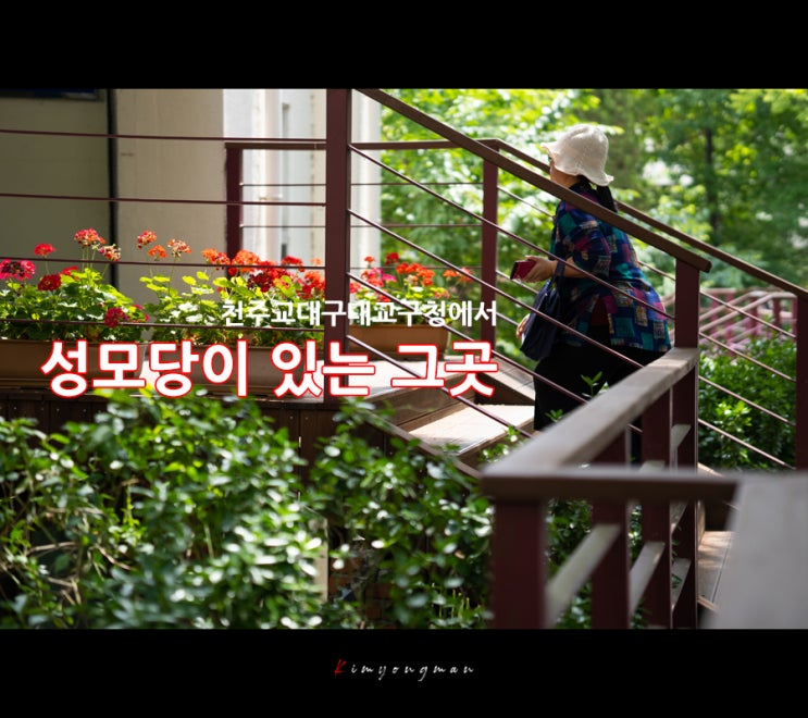  대구 힐링 여행지 - 성모당이 있는곳(대구근대거리2코스)