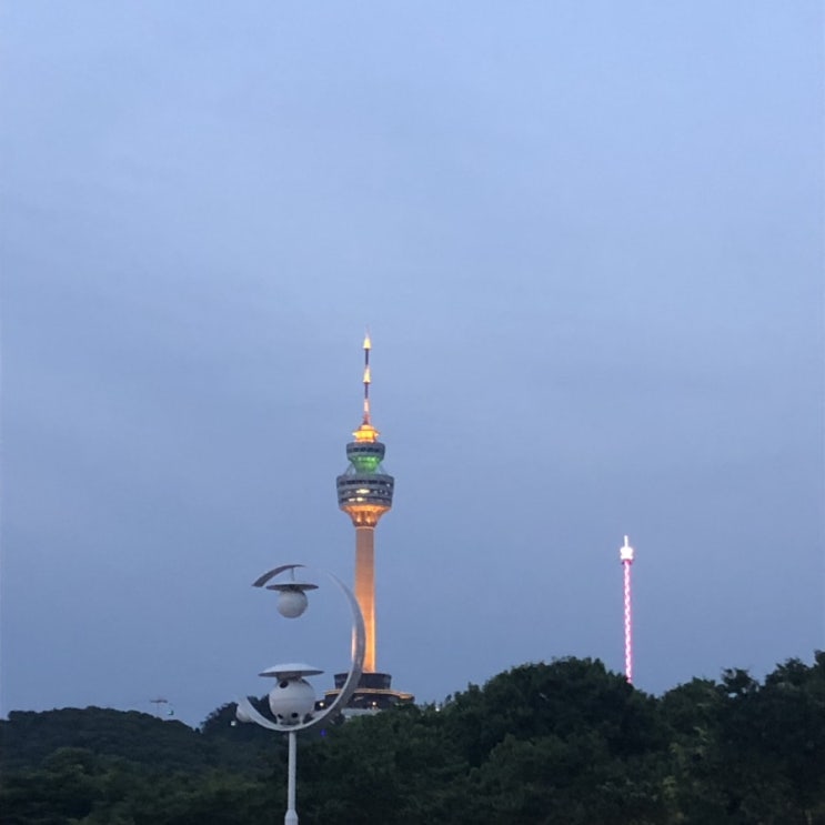  6월의 일상