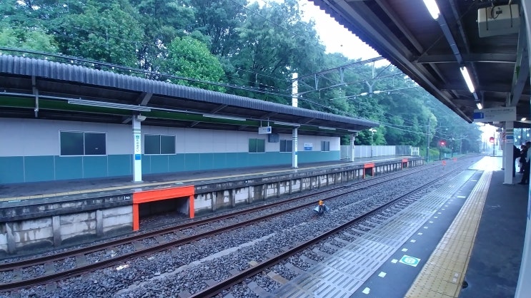  일본워홀, 300번째 글.