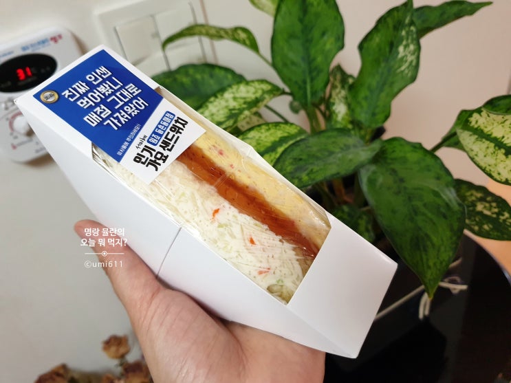  강남역 인기가요 샌드위치 위치 (강남 지하상가 서미혜)